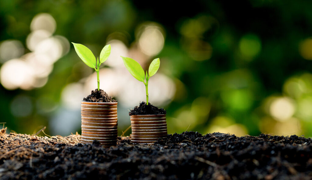 Eco-friendly construction materials like low VOC paints and sustainable flooring.