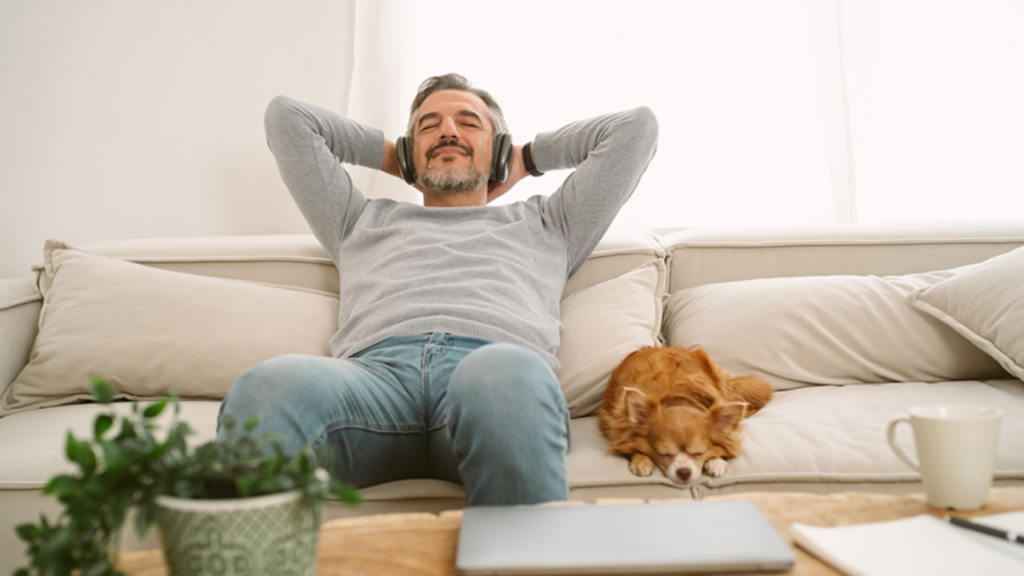 Visual explaining how the Double Taxation Avoidance Agreement (DTAA) prevents double tax.