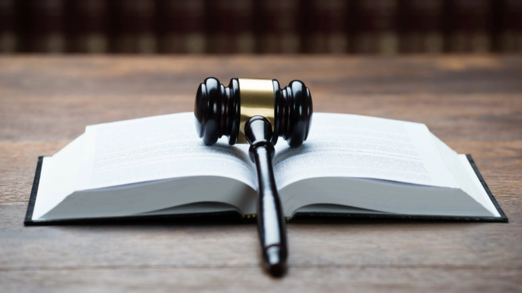 Illustration of streamlined customs and logistics for businesses in SEZ zones.